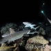 shark_whitetip_reef_mancg_ci_h_0151_cos0464.jpg